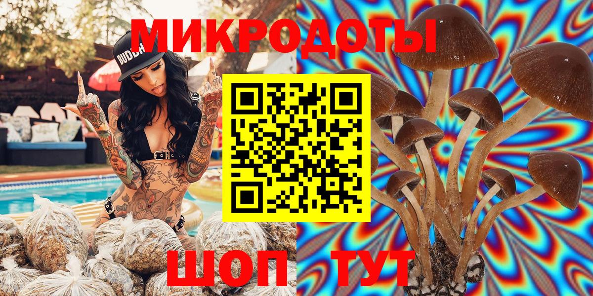 Псилоцибиновые грибы MAGIC MUSHROOMS Северобайкальск